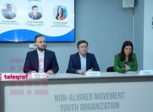 Ялчын Рафиев: Войны еще больше обостряют климатический кризис