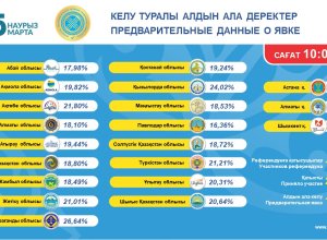Явка на референдуме по проекту новой Конституции в Казахстане на 10:00 составила 19,21%
