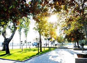 Температура воздуха приблизится к +20°С