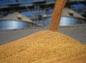 Запрет Казахстана для российского зерна