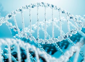 В Азербайджане поставили точку в вопросе клонирования