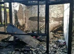 В Масаллинском районе при пожаре погибли дедушка и малолетний внук