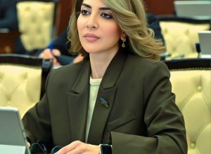 “Sosial mediada göstərilən ‘ideal həyat’ ilə real imkanlar arasındakı fərq gənclərdə depressiyanı artırır” – Günay Ağamalıyeva