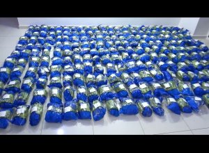 Азербайджанские таможенники обнаружили около 113 кг марихуаны в смеси сухофруктов