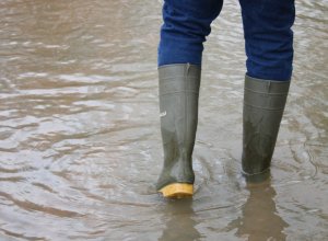 Бакинское дежавю: ливни вновь парализуют город-ВИДЕО