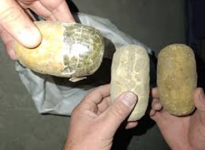 В Узбекистане более 190 кг гашиша пытались перевезти в афганских казанах