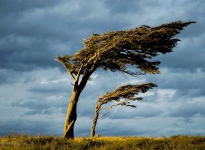 В Азербайджане объявлено желтое и оранжевое предупреждение в связи с ветром