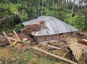 Оползень в Папуа-Новой Гвинее унес жизни как минимум 10 человек