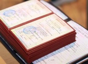 Не признаны 255 зарубежных дипломов