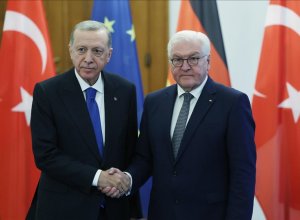 Эрдоган и Штайнмайер обсудили Ближний Восток и российско-украинский конфликт