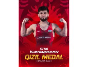 Азербайджанский борец стал чемпионом Европы