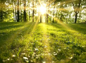 1 мая ожидается до 25 градусов тепла