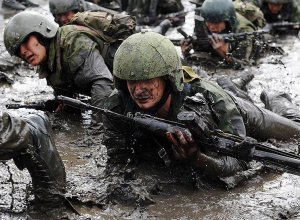 Госдума разрешила использовать армию для «защиты россиян за границей»