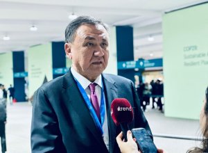 На саммите Организации тюркских государств ожидается принятие Туркестанской декларации