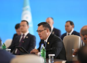 Цифровая система розыска: Тюркоязычные страны будут совместно бороться с преступностью