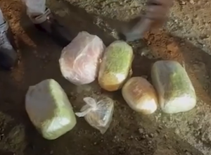 В Баку и регионах задержаны наркокурьеры-ВИДЕО