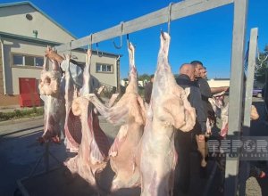 В Агдаме по случаю Гурбан байрамы 3 тыс. малоимущих семей раздали жертвенное мясо