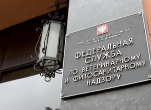СМИ: Россия начала торговую войну с Арменией