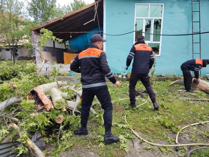 Непогода нанесла ущерб Габале и Огузу: службы продолжают восстановительные работы-ФОТО