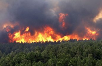 “Ermənistanın COP29-da iştirak etməyə mənəvi haqqı yoxdur”