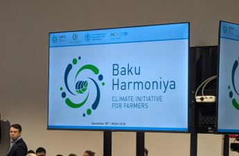 В рамках COP29 проходит мероприятие по запуску климатической инициативы 