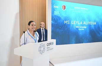 Leyla Əliyeva COP29 çərçivəsində müzakirələrdə iştirak etdi