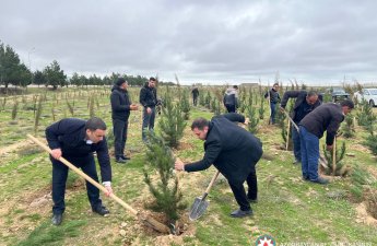 Milli Depozit Mərkəzi Xəzər rayonu ərazisində ağacəkmə tədbiri keçirib