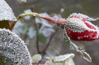 Naxçıvanda 7° şaxta var