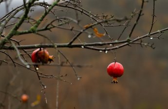 Bəzi rayonlarda hava yağıntılı olub, güclü külək əsib - FAKTİKİ HAVA