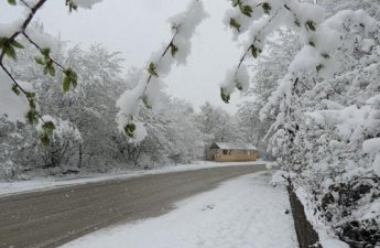 Hava ilə bağlı xəbərdarlıq: Sabahdan...