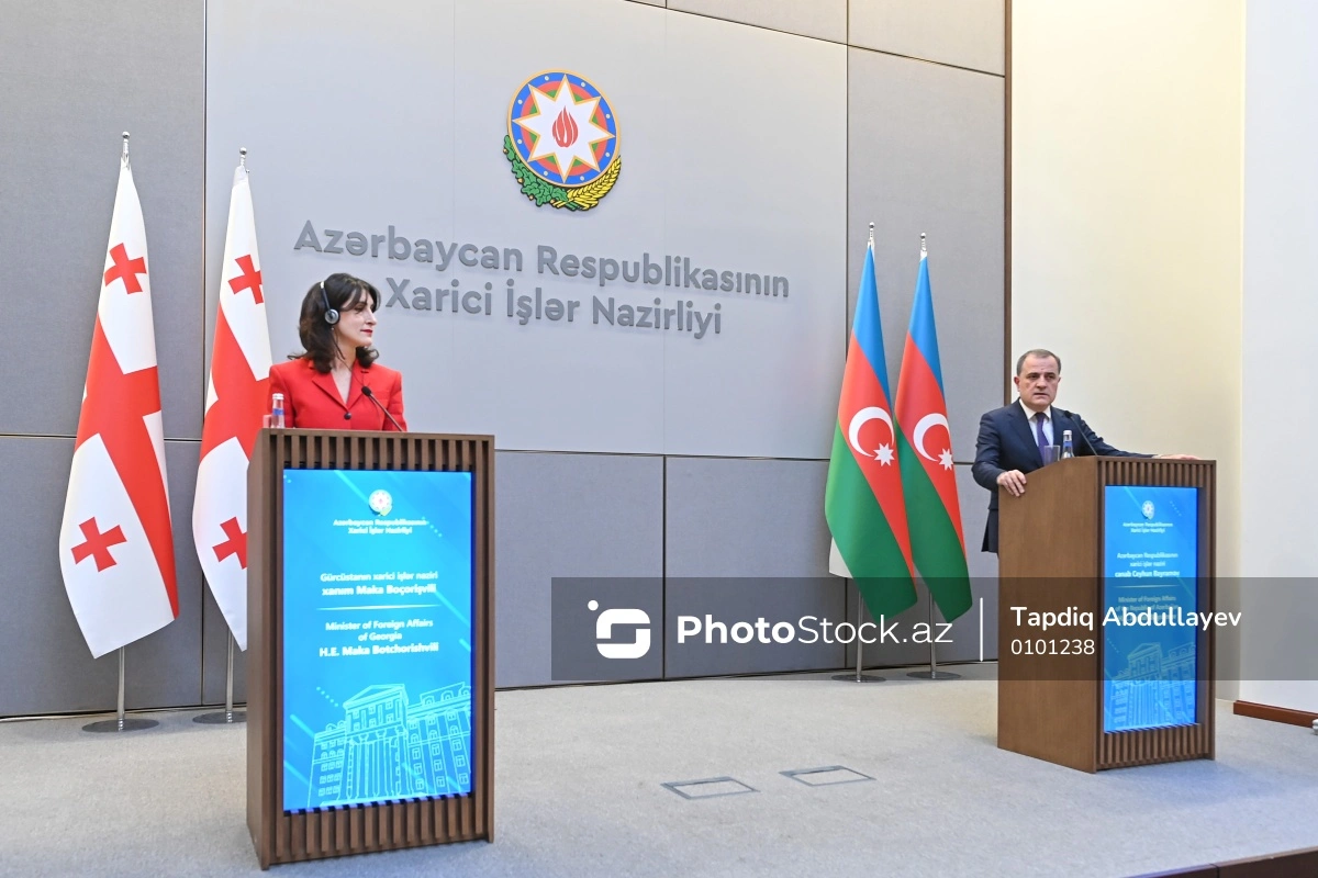 Azərbaycan və Gürcüstan XİN başçıları birgə mətbuat konfransı keçirirlər - VİDEO