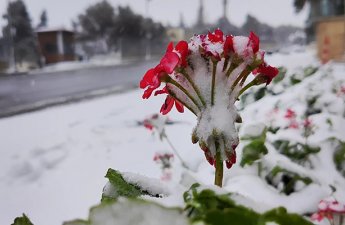 Dağlıq rayonlarda qar yağıb, 15 dərəcə şaxta olub - FAKTİKİ HAVA