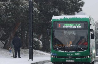 Xətlərə lazımi sayda avtobus buraxılıb - Rəsmi