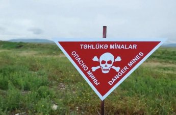 Azad edilmiş ərazilərdə daha 706 mina aşkarlandı