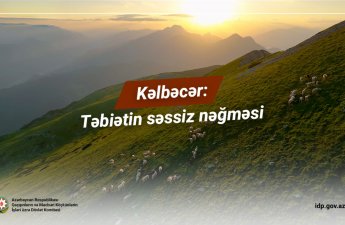 Kəlbəcər: Təbiətin səssiz nəğməsi - VİDEO
