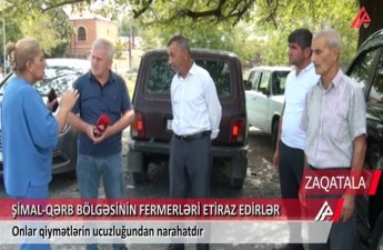 Zaqatalada fermerlər ETİRAZA QALXDI - VİDEO