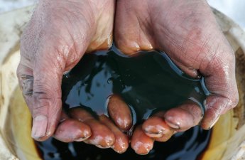 Власти Индии заявили, что продолжат закупки российской нефти