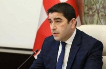 Папуашвили: Группа, поддерживаемая послом Германии, напала на штаб 