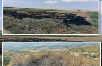 Füzuli və Xocavənddə yanğın törədən şəxslər məsuliyyətə cəlb olundular