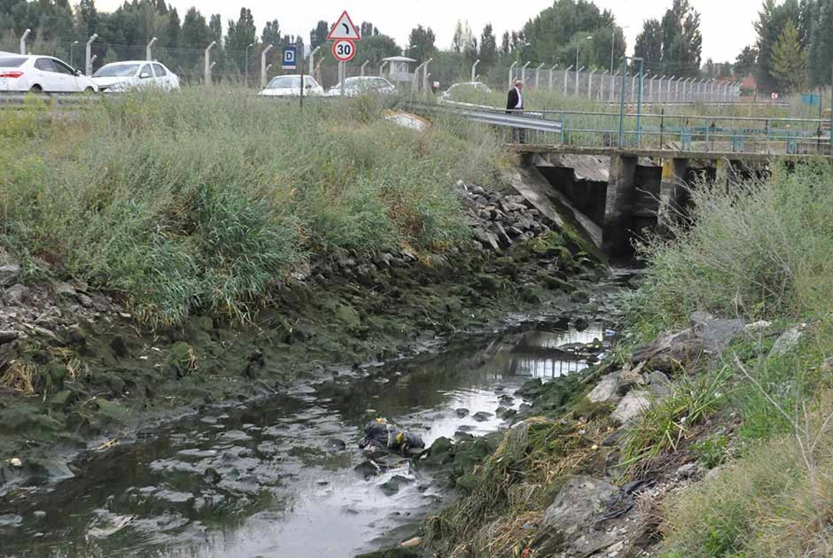 Şəmkirdə 74 yaşlı kişi su arxına yıxılıb öldü