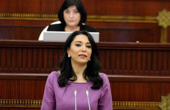 Ombudsmanın illik məruzəsinə komitə iclasında baxılmayacaq