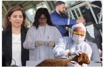 “Baytar çatışmazlığını aradan qaldırmaq üçün çalışırıq, əsas məqsədimiz budur ki...”- FOTO+ÖZƏL