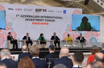 Rolande Pryce: Qara dəniz və Xəzər dənizi mühüm enerji dəhlizləridir