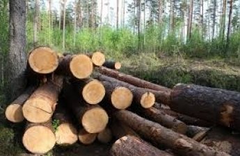 ABŞ-a idxal olunan bu məhsullara da rüsum tətbiq edildi