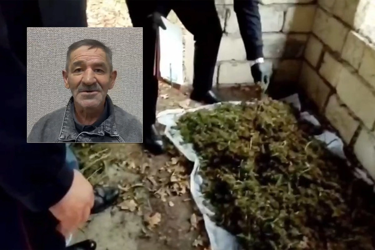 Xaçmaz sakinindən 11 kiloqram marixuana aşkarlandı