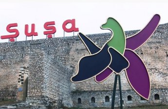“Şuşa zəfərindən sonra türk dünyasının birliyi məsələsi daha aydın dərk edildi”