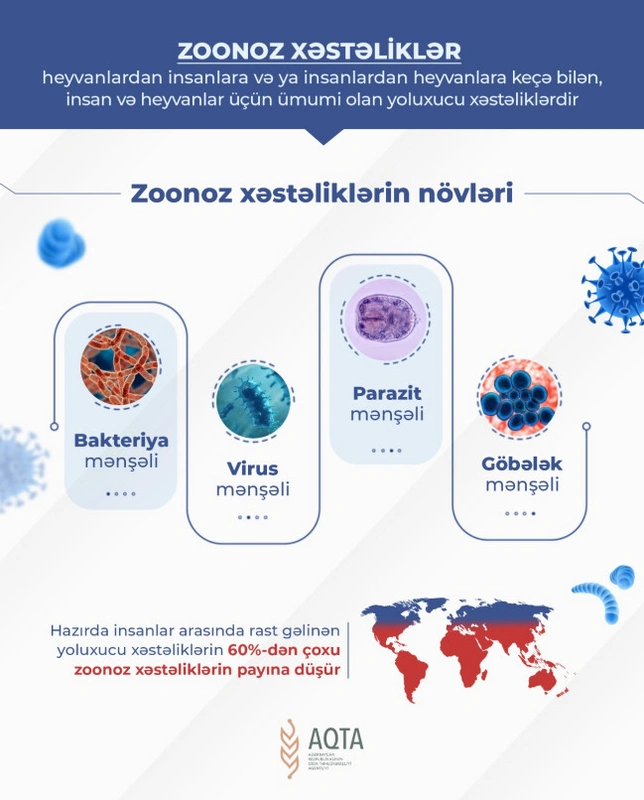 Heyvanlardan insanlara ən çox keçən xəstəliklər - SİYAHI