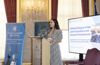 Leyla Əliyeva Londonda yüksəksəviyyəli iqlim dialoqunda iştirak edib - FOTO