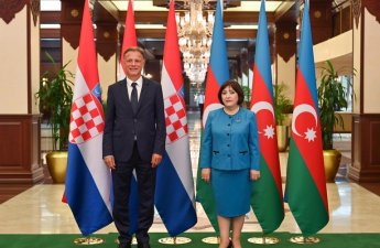 Milli Məclisin sədri xorvatiyalı həmkarı ilə görüşüb - FOTOLAR