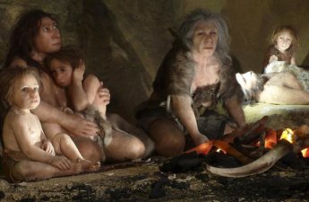 “Neandertallar niyə yox oldu?” sualına yeni cavab